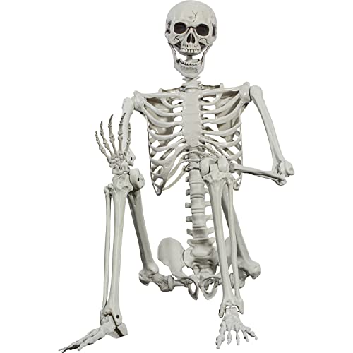 SIFOEL Squelette dhalloween - 165 cm - Taille réaliste - Squ