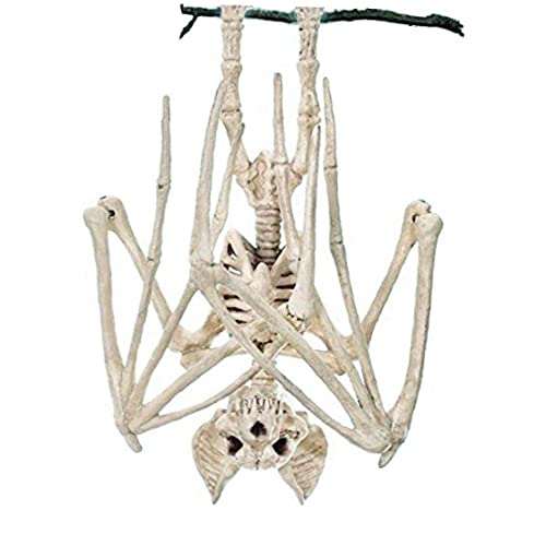 REOVE 1 squelette de chauve-souris réaliste pour Halloween, 