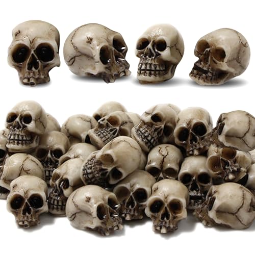 20 Pcs Halloween Mini Têtes,Décor De Mini Crânes,Crâne en Pl