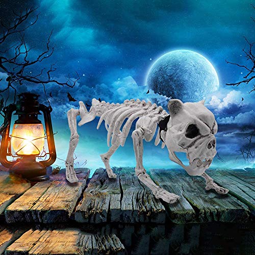 JOYIN Décoration dhalloween 41cm Pose-N-Stay Squelette et Os